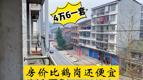 四川小城驚現(xiàn)4.6萬三室一廳，房價(jià)竟比鶴崗還低